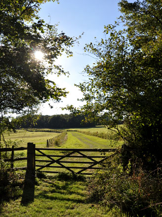 walk from St Ives Farm