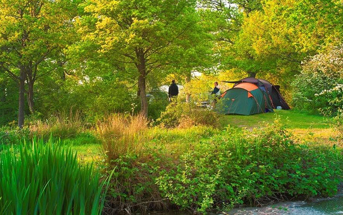 camping in the ashdown forest