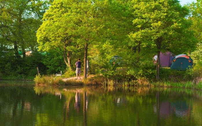 camp near the ponds